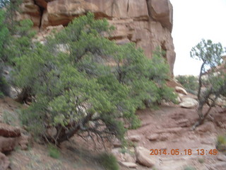 331 8mj. Canyonlands National Park - Needles - Elephant Hill + Chesler Park hike
