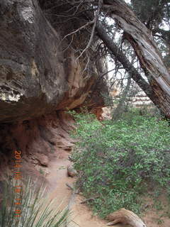 333 8mj. Canyonlands National Park - Needles - Elephant Hill + Chesler Park hike