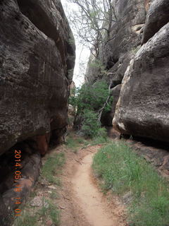 334 8mj. Canyonlands National Park - Needles - Elephant Hill + Chesler Park hike - slot or fissure