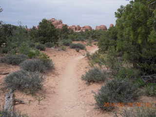 341 8mj. Canyonlands National Park - Needles - Elephant Hill + Chesler Park hike
