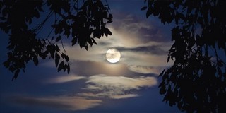 beautiful moon in the clouds
