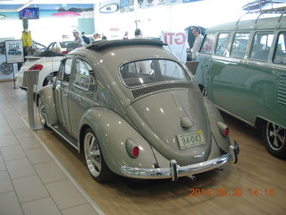 scantily-class lass on Volkswagon beetle