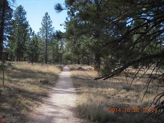 62 8sr. Bryce Canyon near the lodge