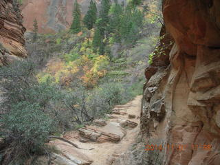 57 8t1. Zion National Park - Observation Point hike