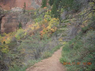 62 8t1. Zion National Park - Observation Point hike