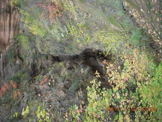 63 8t1. Zion National Park - Observation Point hike