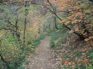 65 8t1. Zion National Park - Observation Point hike