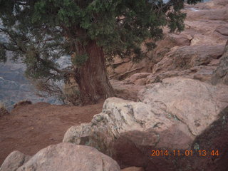 85 8t1. Zion National Park - Observation Point hike - summit