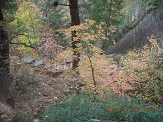 129 8t1. Zion National Park - Observation Point hike