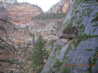 130 8t1. Zion National Park - Observation Point hike