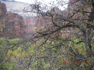 132 8t1. Zion National Park - Observation Point hike