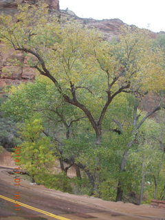 136 8t1. Zion National Park