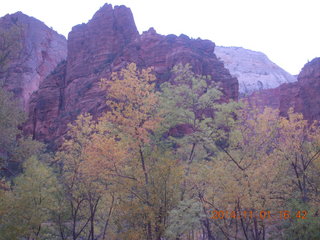 137 8t1. Zion National Park