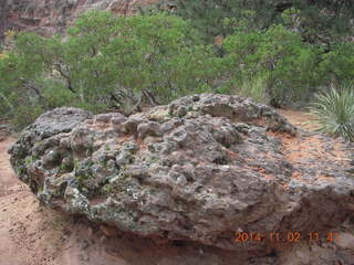 Zion National Park - Scouts Lookout