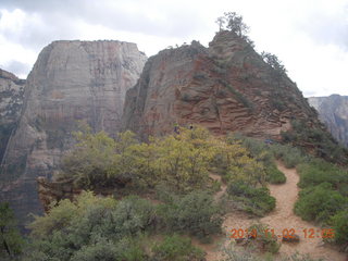Zion National Park - Scouts Lookout