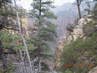 Zion National Park - Scouts Lookout
