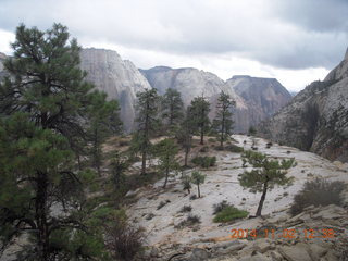 Zion National Park - Scouts Lookout - Adam