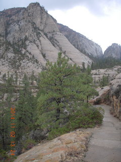 146 8t2. Zion National Park - West Rim hike