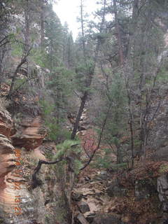 151 8t2. Zion National Park - West Rim hike