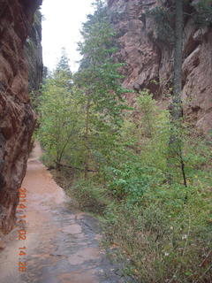 165 8t2. Zion National Park - down from Angels Landing