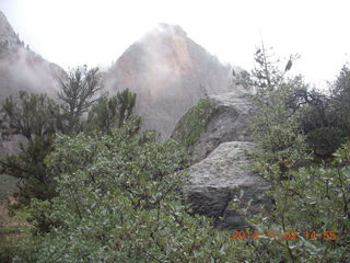 178 8t2. Zion National Park - down from Angels Landing