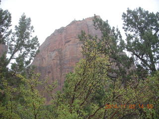 180 8t2. Zion National Park - down from Angels Landing