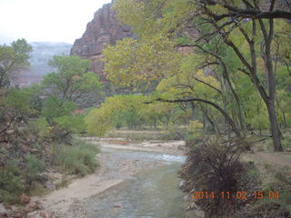 182 8t2. Zion National Park - down from Angels Landing