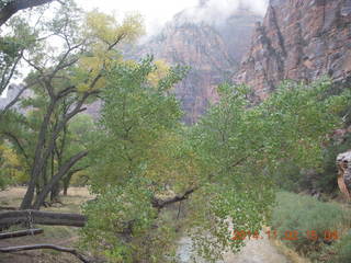 183 8t2. Zion National Park - down from Angels Landing