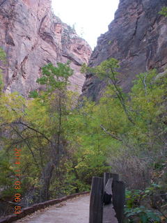 9 8t3. Zion National Park - dawn Riverwalk