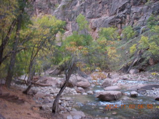 10 8t3. Zion National Park - dawn Riverwalk