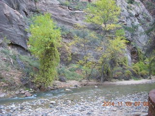 18 8t3. Zion National Park - dawn Riverwalk