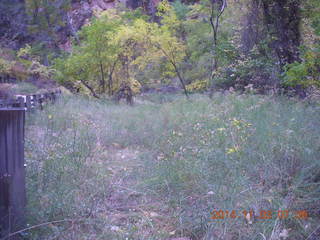 27 8t3. Zion National Park - dawn Riverwalk