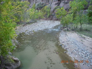 30 8t3. Zion National Park - dawn Riverwalk - stuff growing under the Virgin River