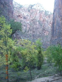 31 8t3. Zion National Park - dawn Riverwalk