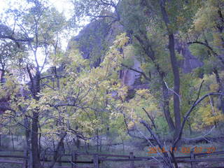 35 8t3. Zion National Park - dawn Riverwalk
