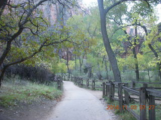 36 8t3. Zion National Park - dawn Riverwalk
