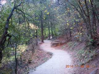 61 8t3. Zion National Park - Emerald Ponds hike
