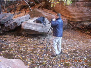 80 8t3. Zion National Park - Emerald Ponds hike - big tripod