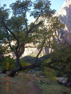 89 8t3. Zion National Park - path along the Virgin River