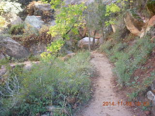 117 8t3. Zion National Park - Watchman hike