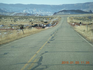 91 8v3. driving from Fisher Towers hike back to Moab - cows