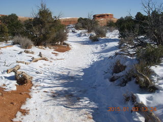116 8v3. Arches National Park - Devils Garden hike