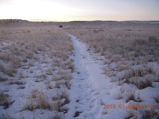 Canyonlands National Park - Lathrop trail hike - grasslands
