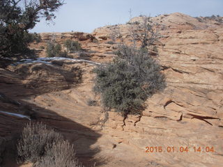 93 8v4. Canyonlands National Park - Lathrop trail hike