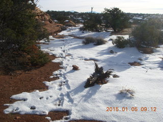 51 8v5. Dead Horse Point State Park hike