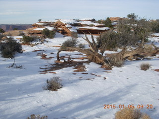 60 8v5. Dead Horse Point State Park hike