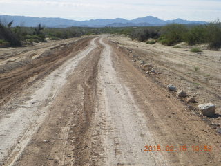 Alamo Lake run