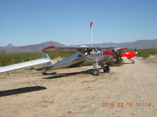 Alamo Lake run
