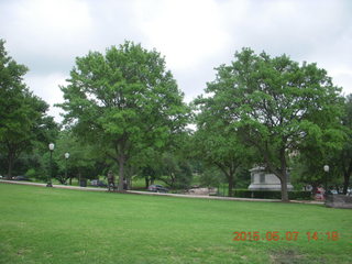 Grapevine pics