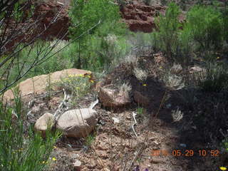 83 8zv. Beaver Creek Canyon hike